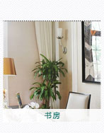 书房植物租赁