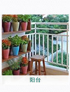 阳台植物出租