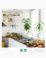 厨房植物租摆公司