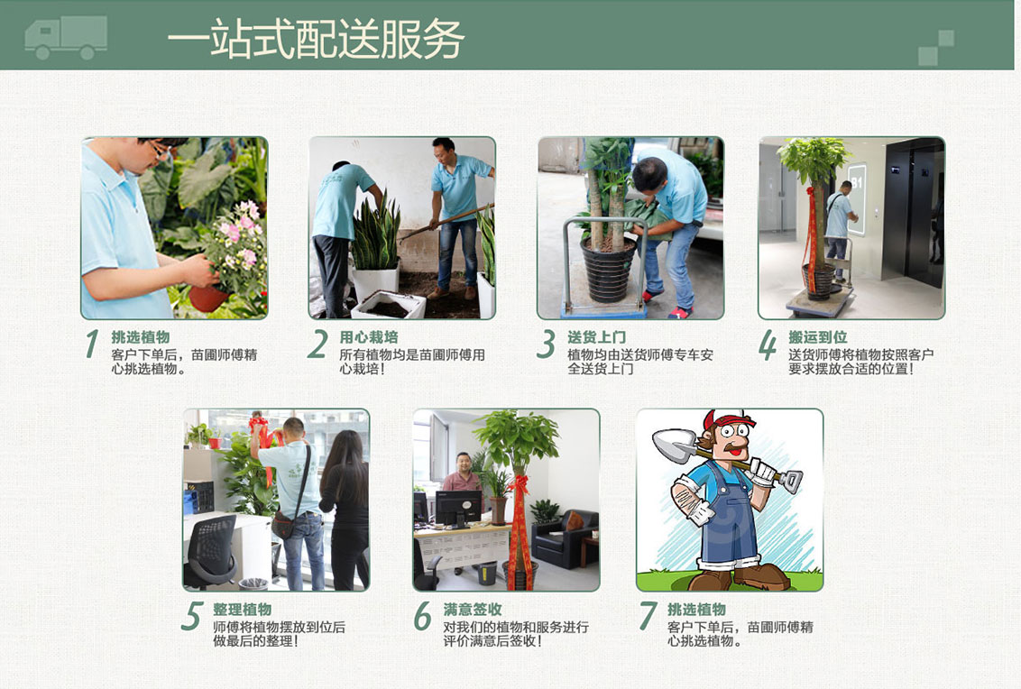 一站式植物租摆