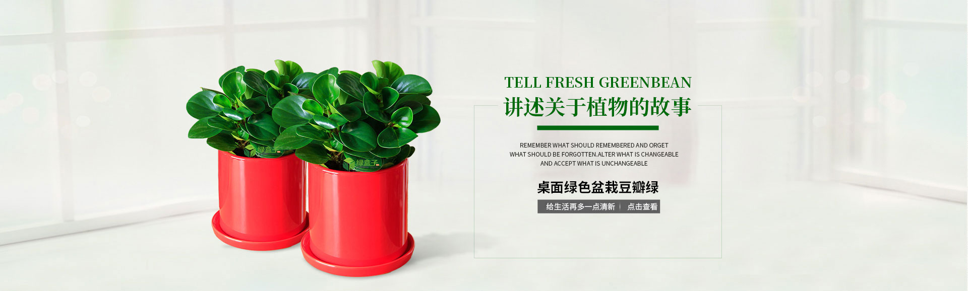 关于植物的故事