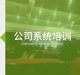 公司系统培训