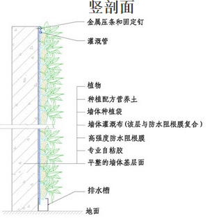 垂直绿化竖剖面图