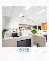 办公室植物租赁