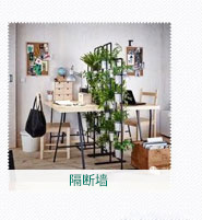 隔断墙植物租赁