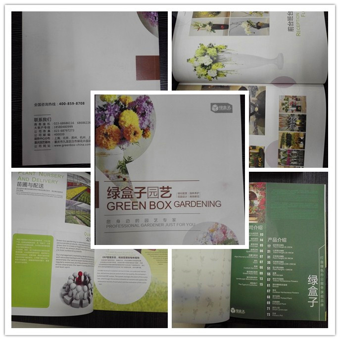 绿盒子园艺宣传册