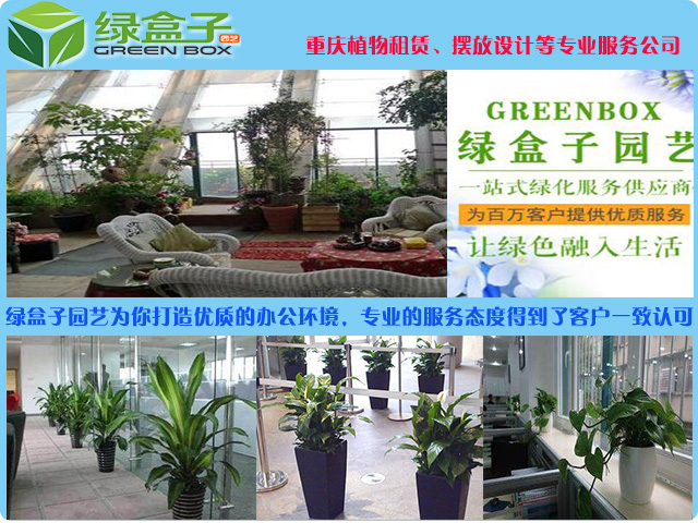重庆江北植物租赁哪家好，选择植物出租公司应该看那些方面