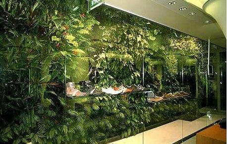 室内植物墙.jpg