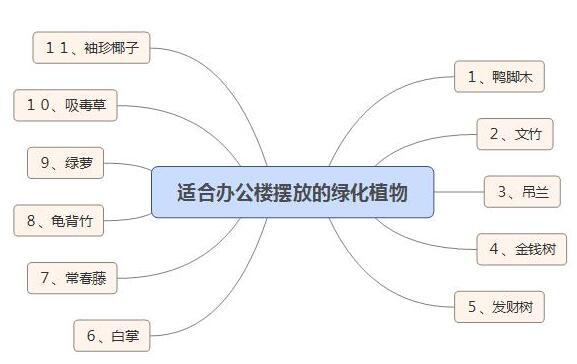 适合办公楼摆放的绿化植物有哪些？.jpg